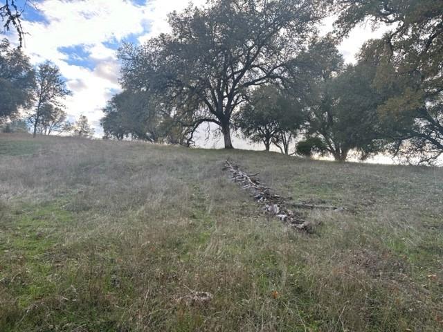 Highway 49, Mokelumne Hill, California image 7