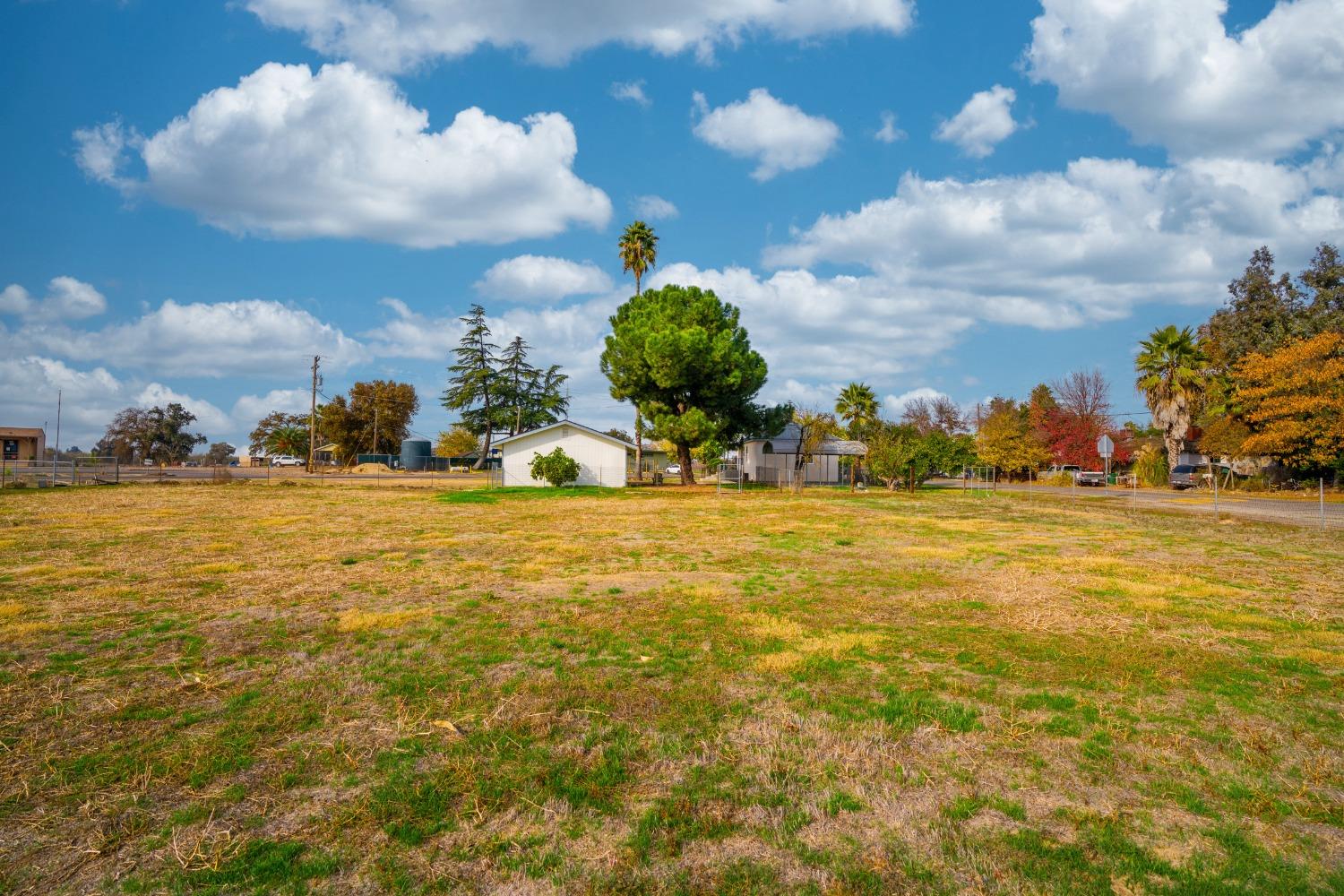 Crocker Avenue, Cressey, California image 11