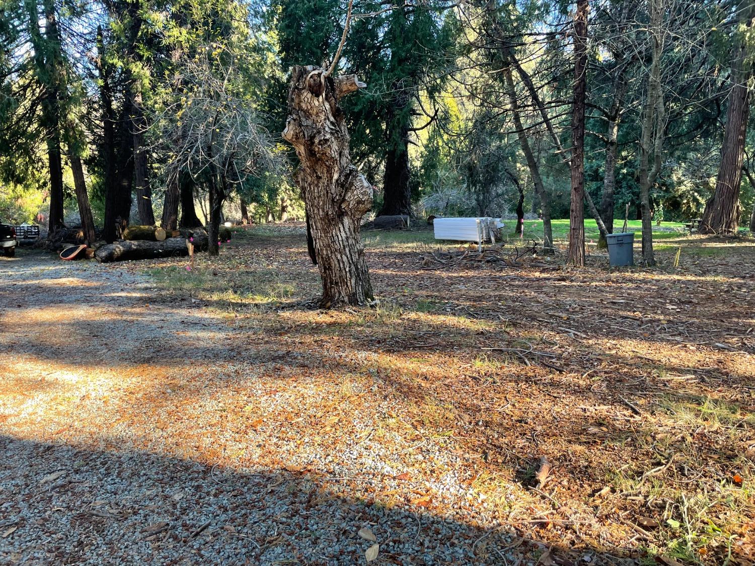 Gold Flat Road, Nevada City, California image 2