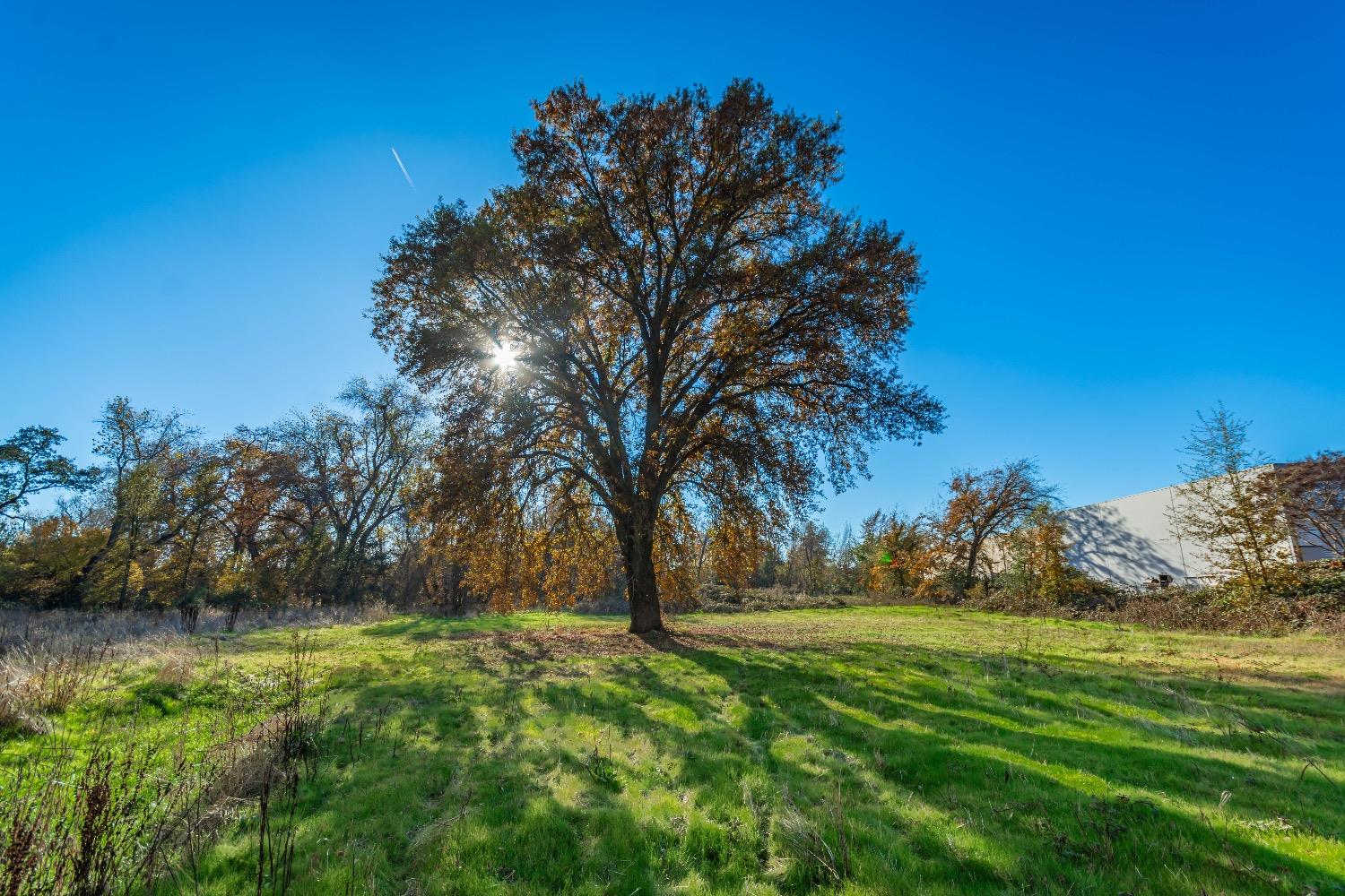 Dominguez, Rocklin, California image 19