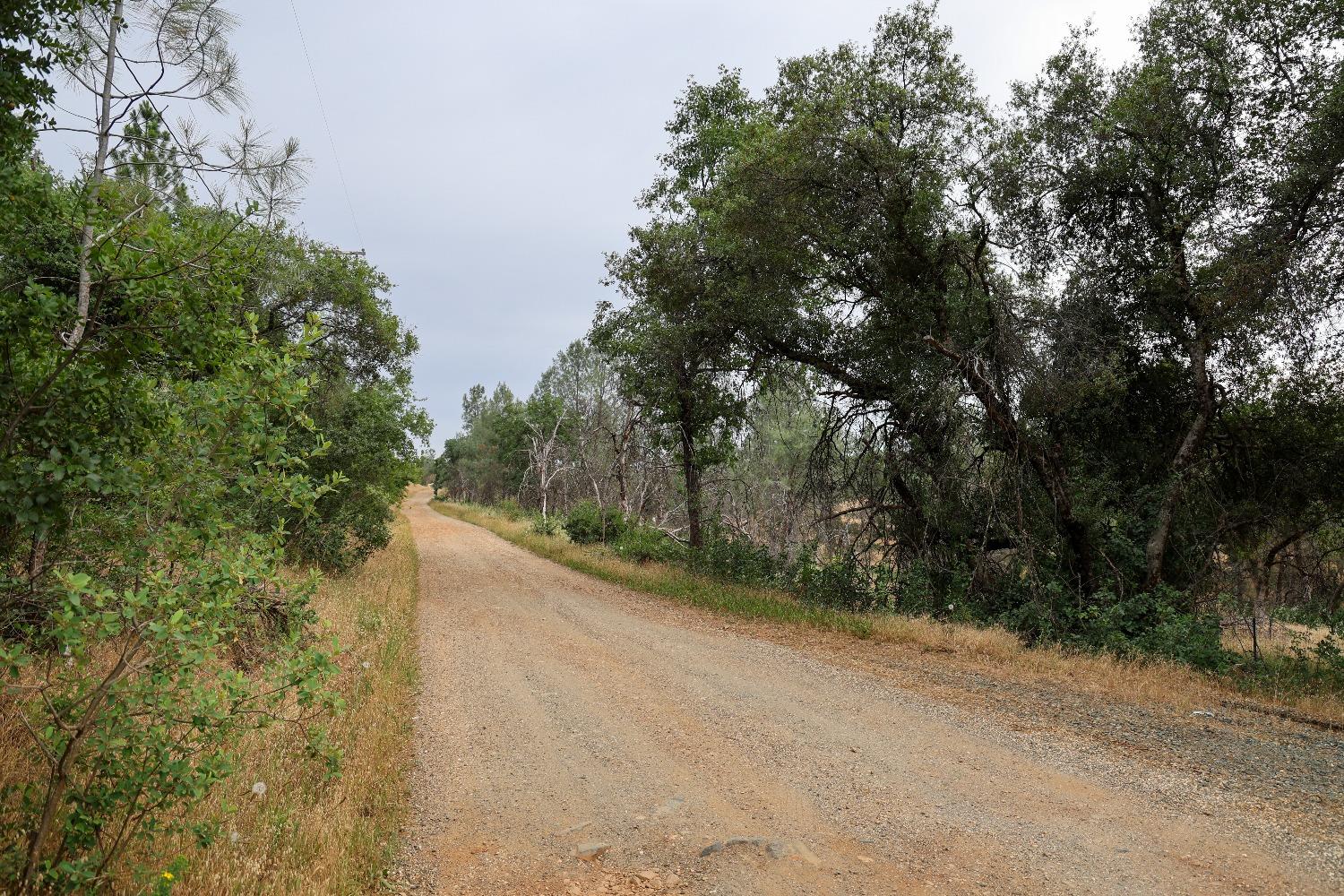 Cascade Way, Browns Valley, California image 7