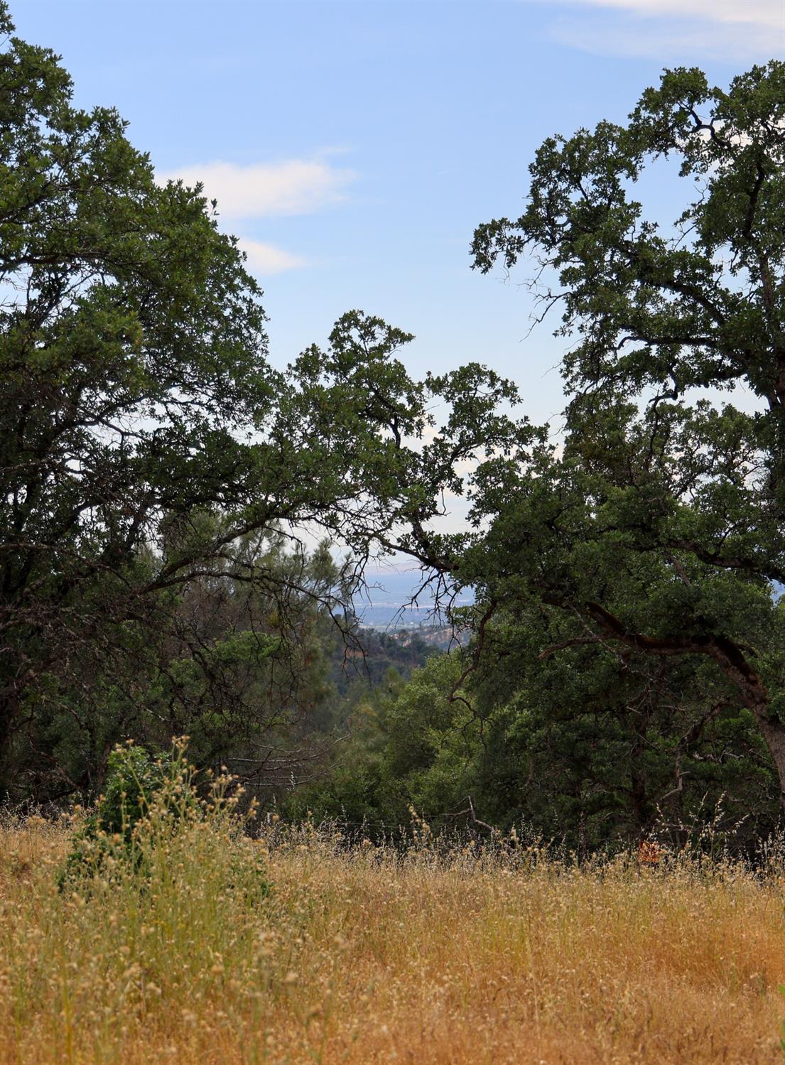 Cascade Way, Browns Valley, California image 32