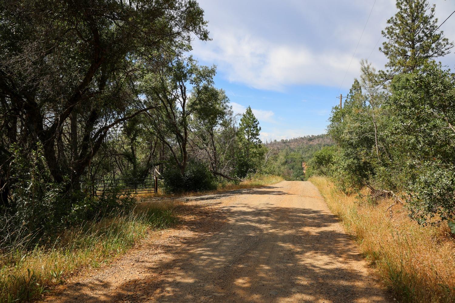 Cascade Way, Browns Valley, California image 9