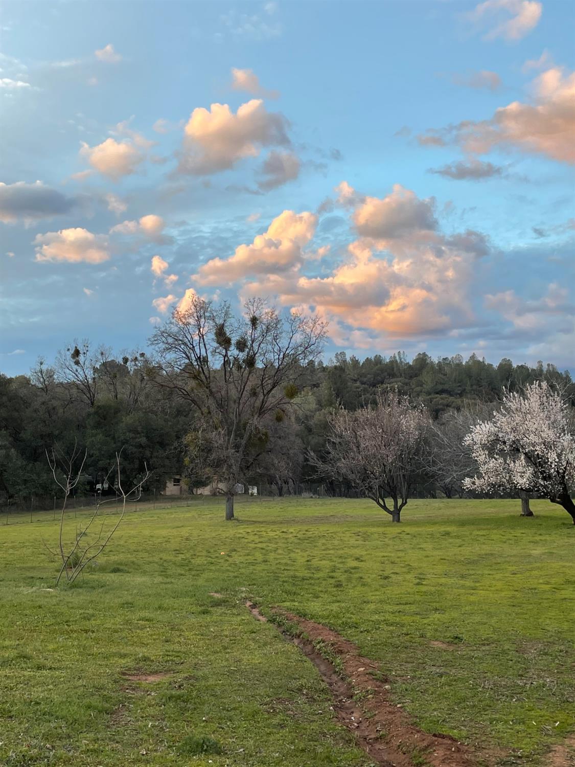 Vierra Road, Rackerby, California image 4