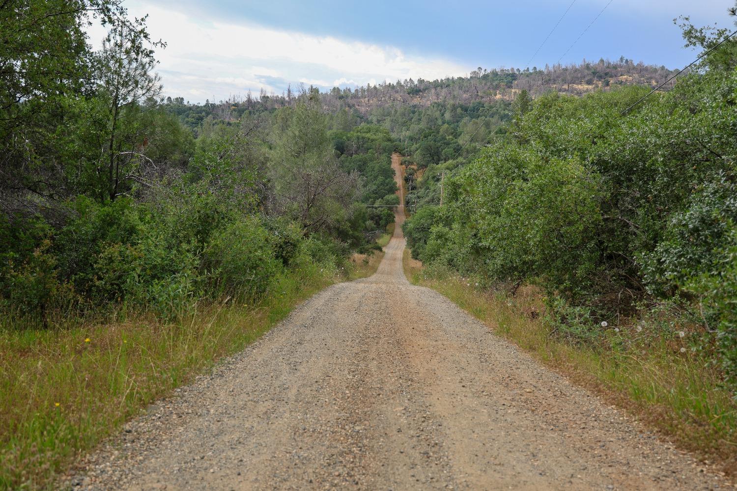 Cascade Way, Browns Valley, California image 5