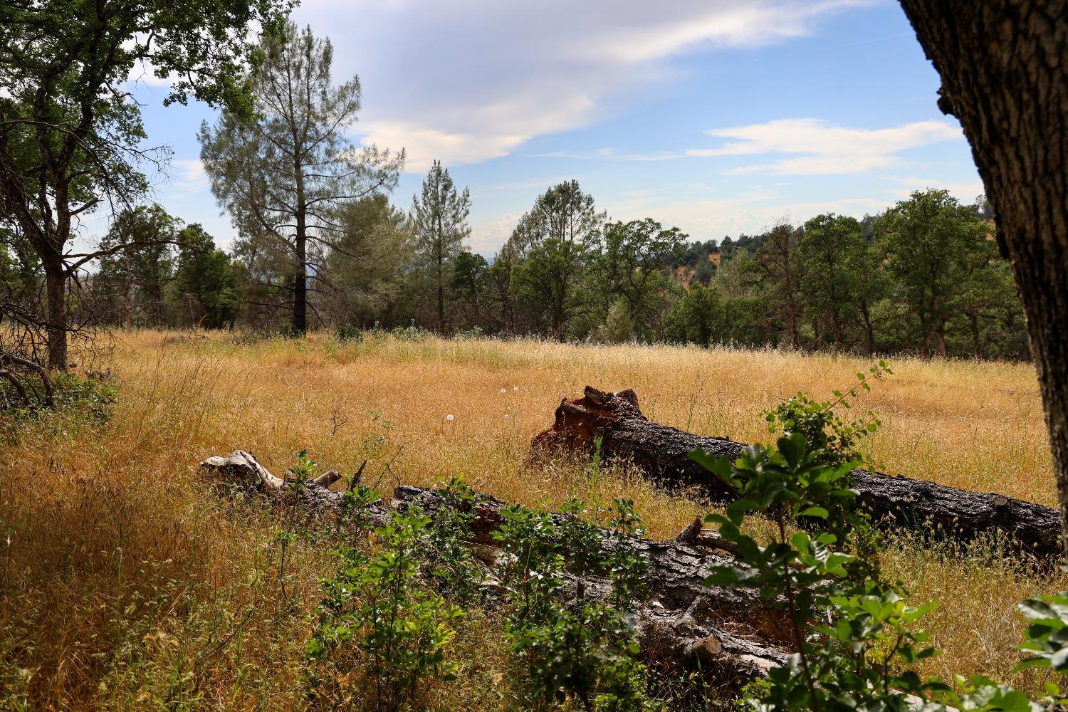 Cascade Way, Browns Valley, California image 30