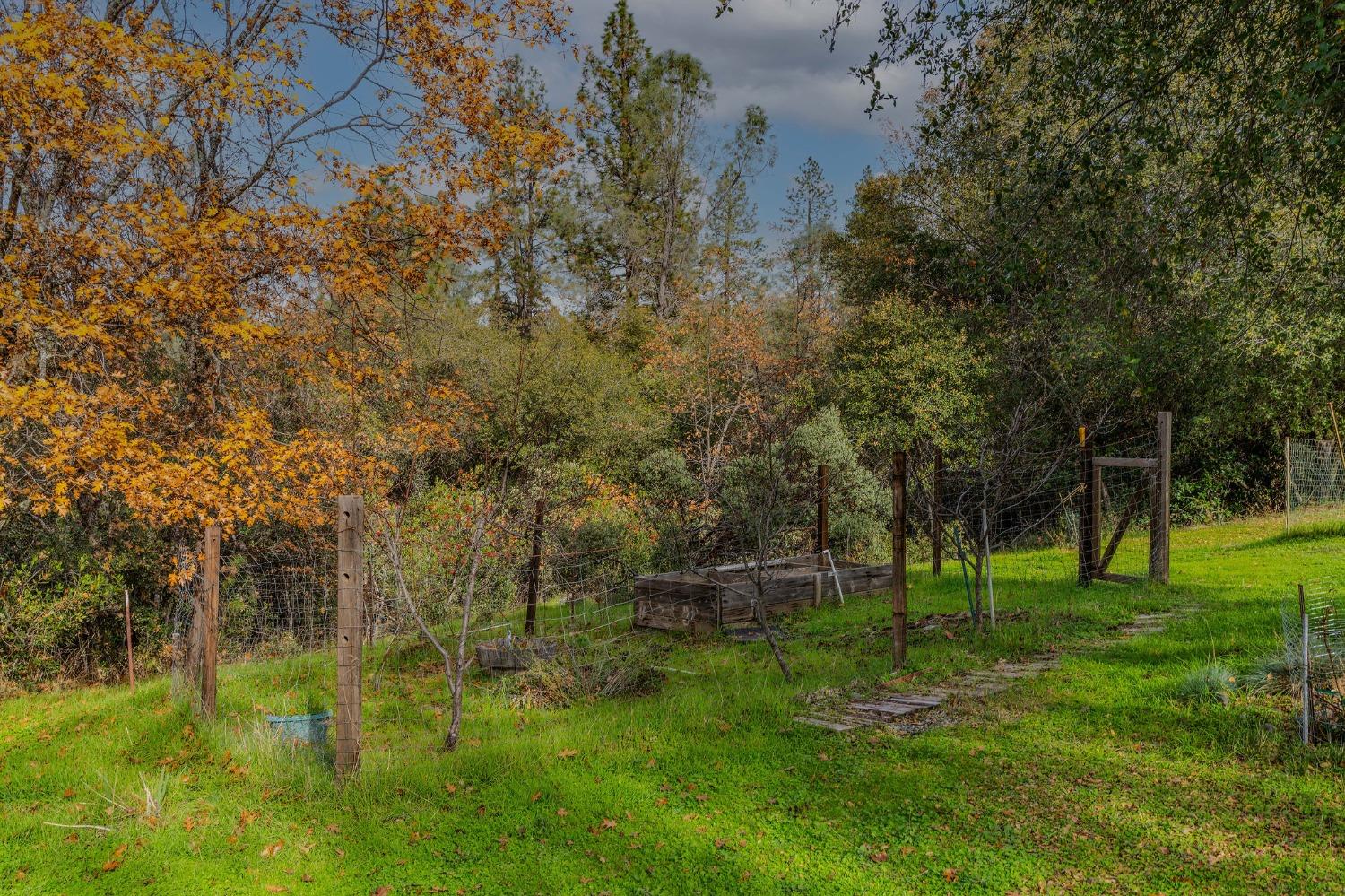 Ridge View Drive, Sutter Creek, California image 48