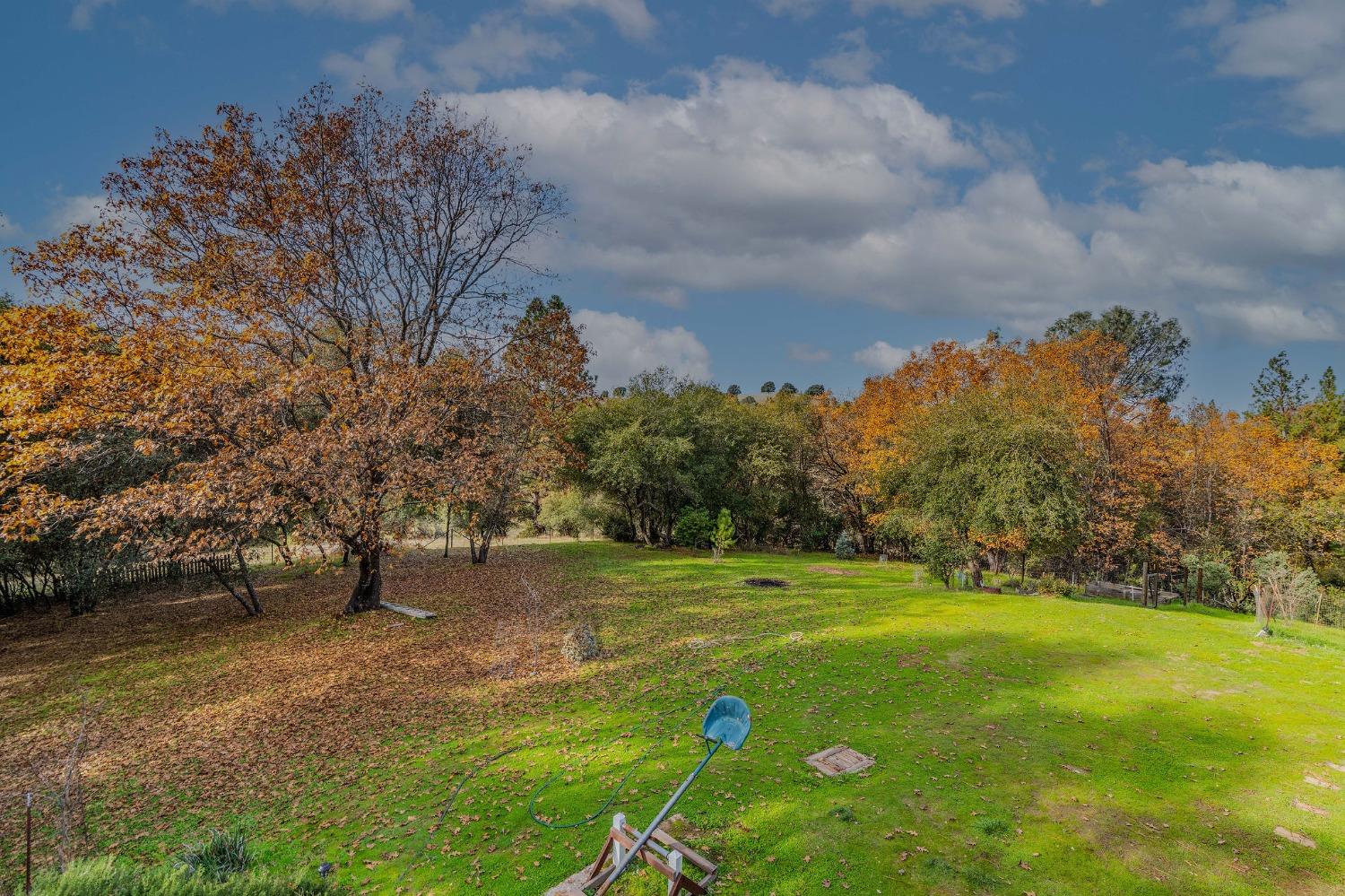 Ridge View Drive, Sutter Creek, California image 4