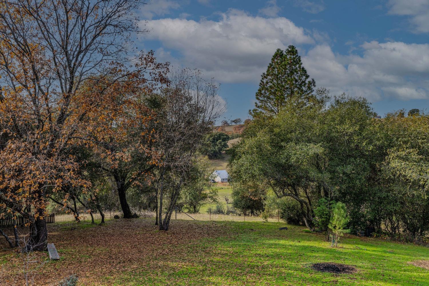 Ridge View Drive, Sutter Creek, California image 5