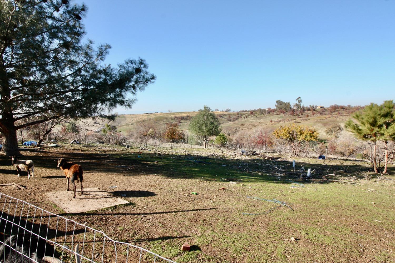 Detail Gallery Image 38 of 68 For 0 0- Spur Ave, Oroville,  CA 95966 - – Beds | – Baths