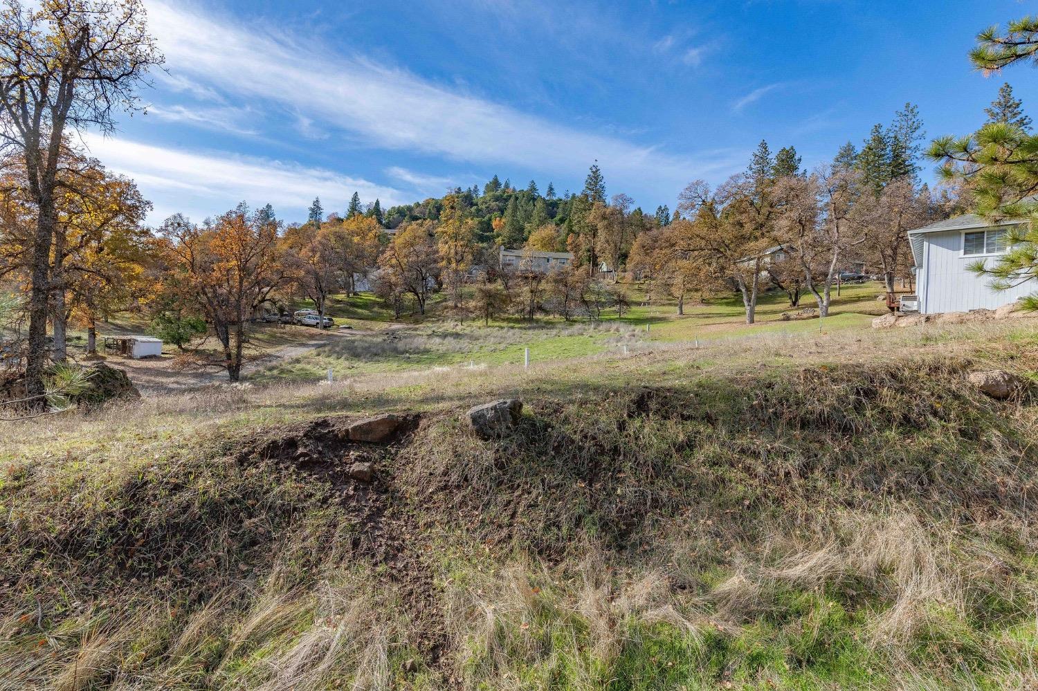 Forrest Oak Road, Pioneer, California image 3