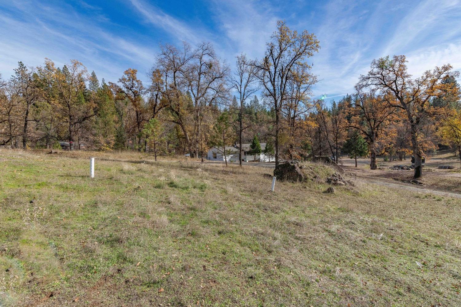 Forrest Oak Road, Pioneer, California image 14