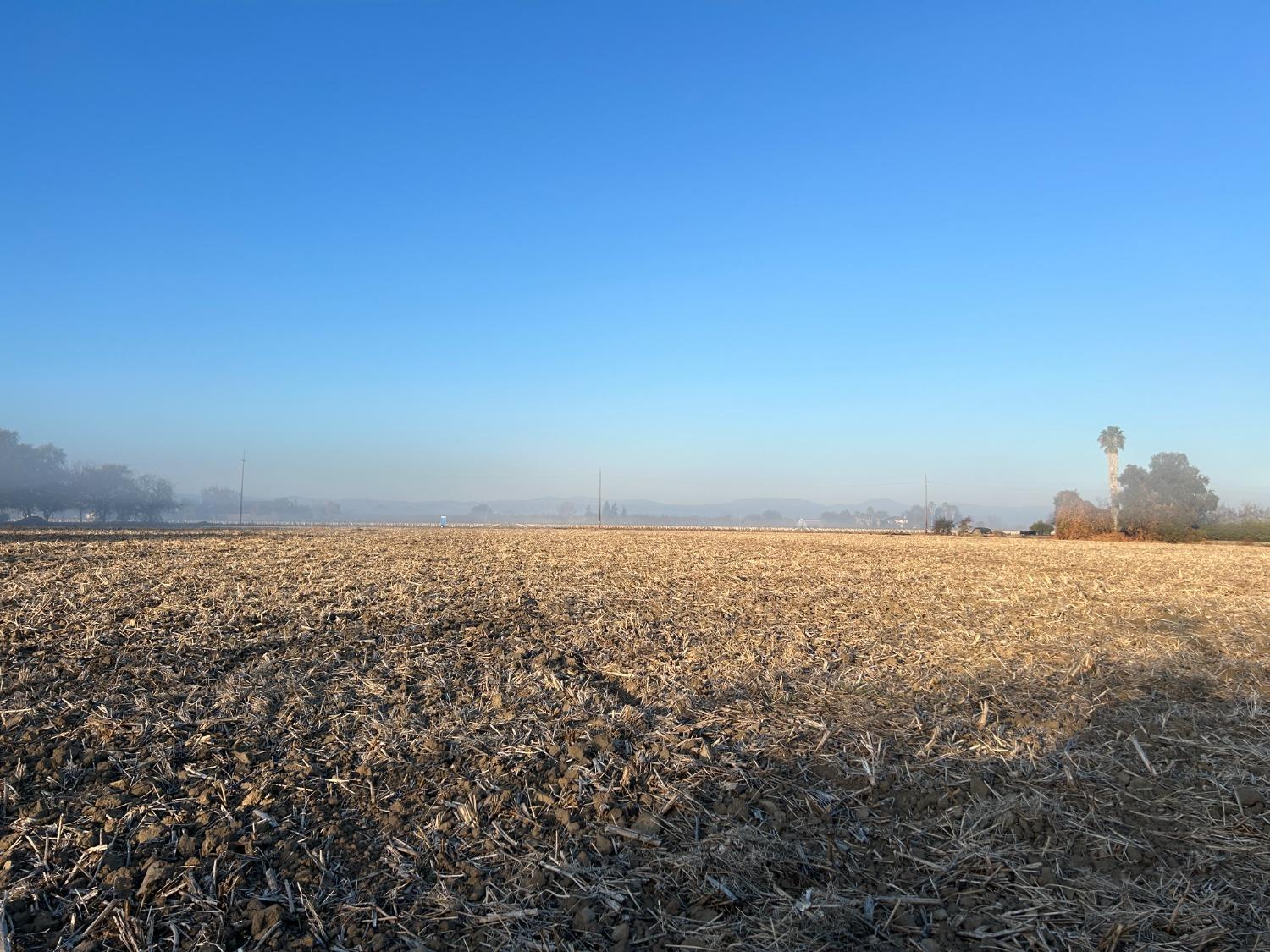 Neva Avenue, Colusa, California image 1