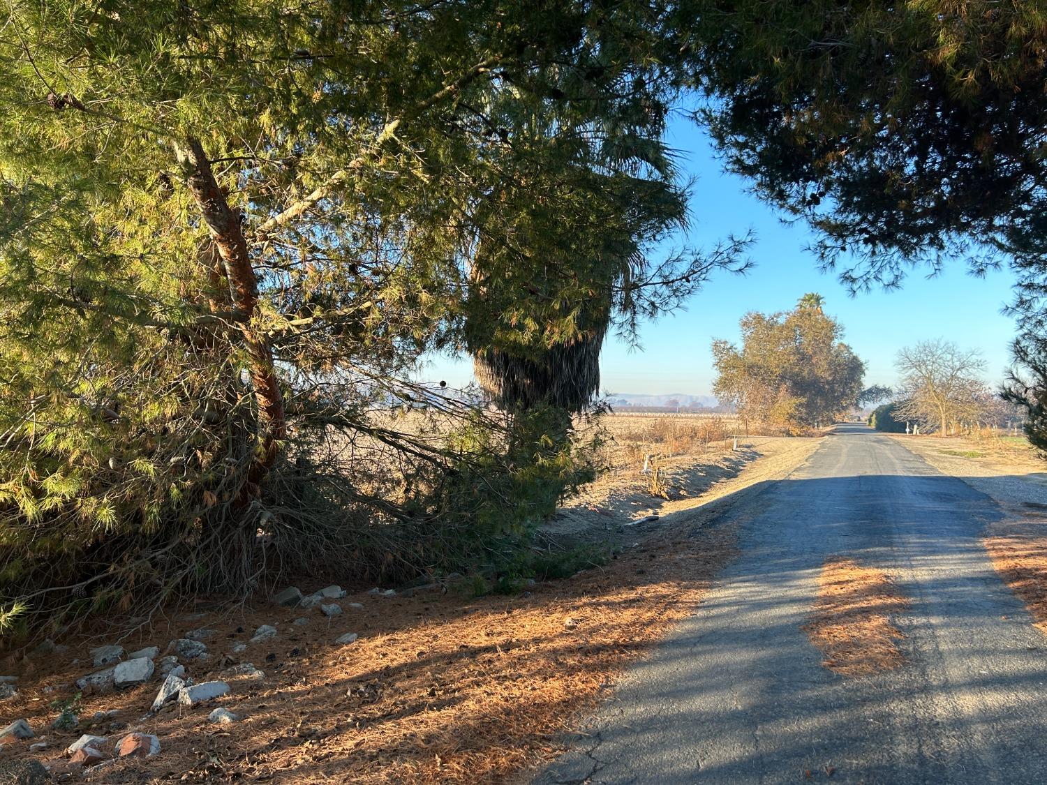 Neva Avenue, Colusa, California image 6