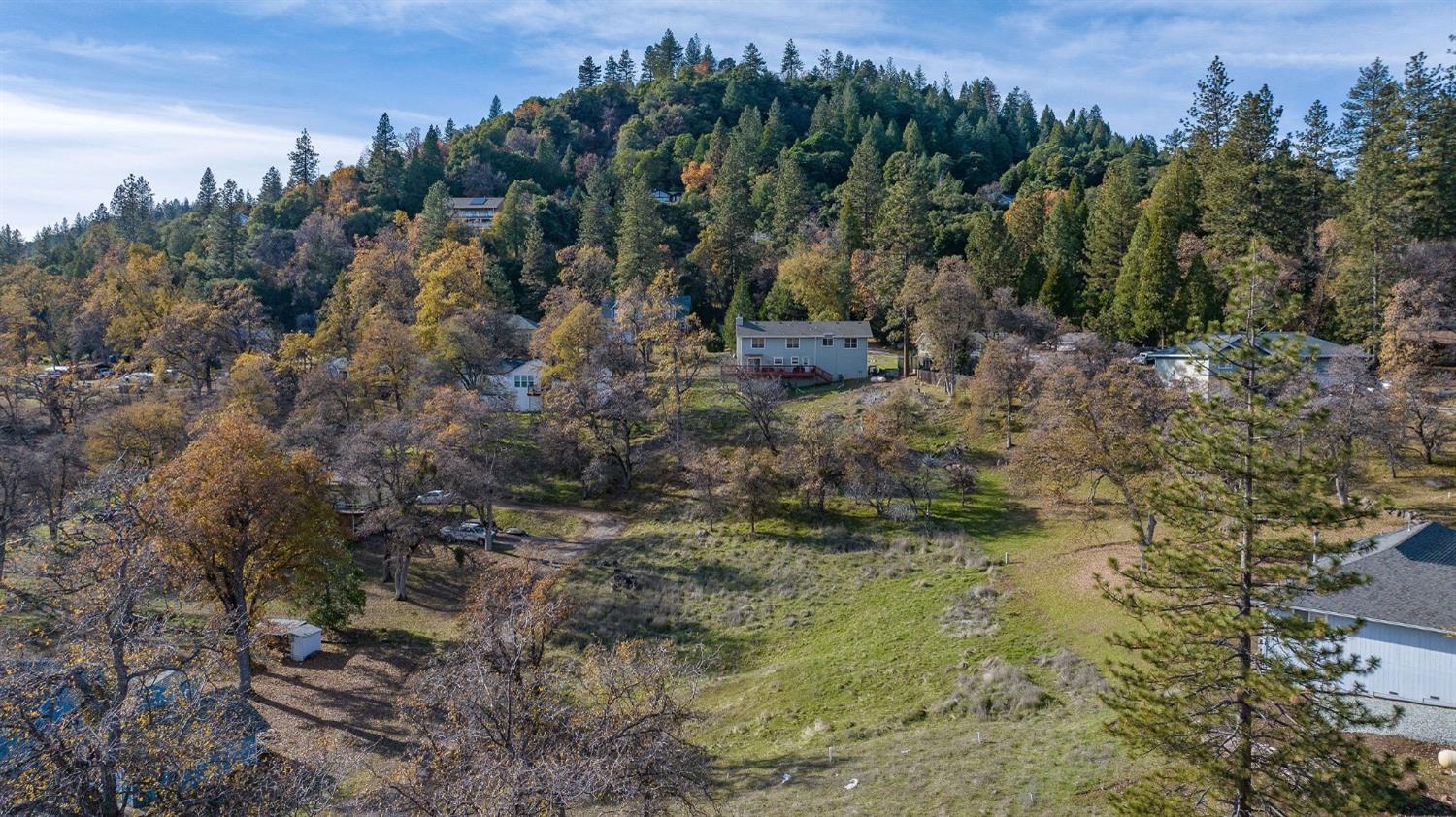 Forrest Oak Road, Pioneer, California image 10