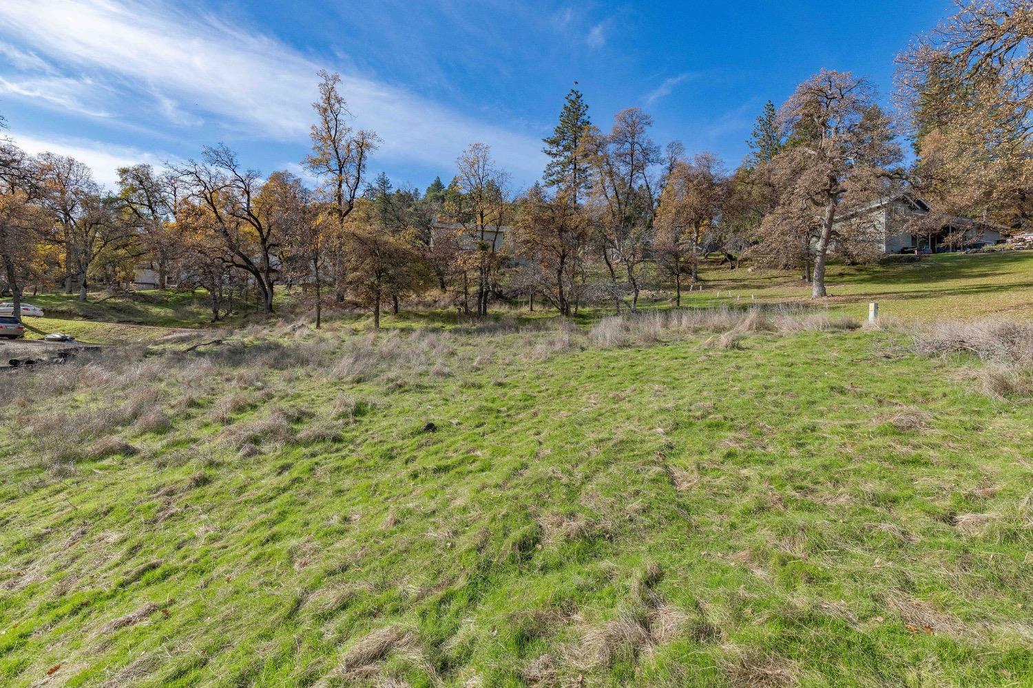 Forrest Oak Road, Pioneer, California image 16