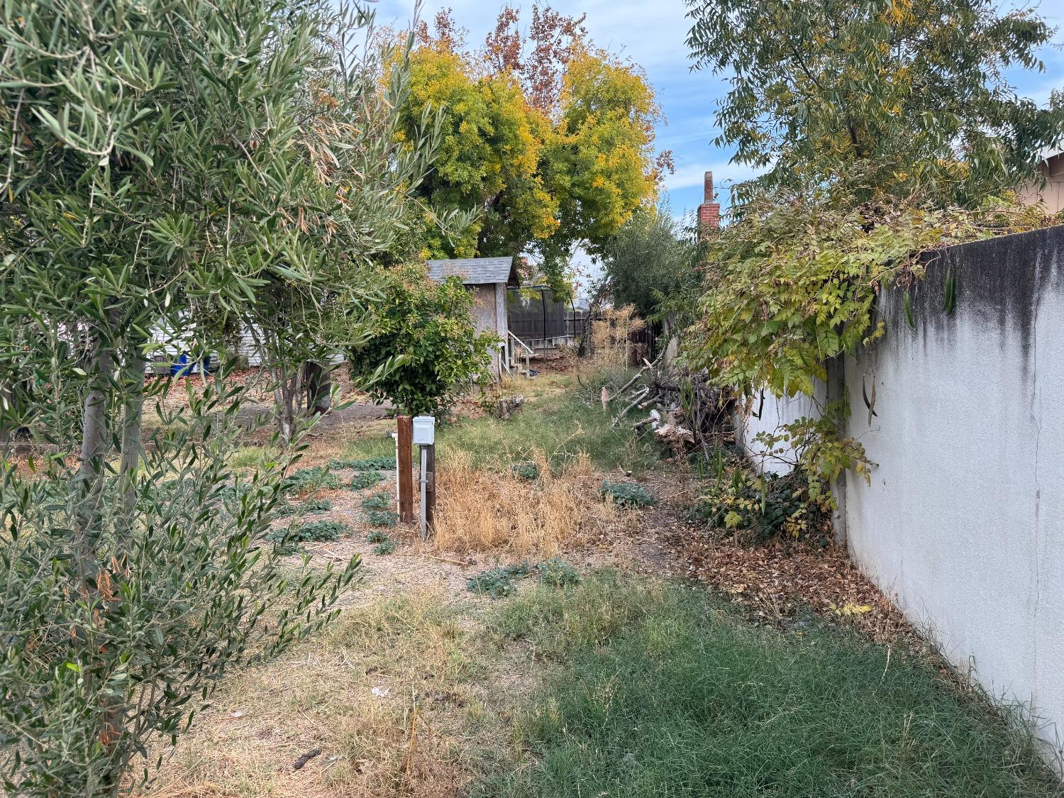 Lucerne Avenue, Dos Palos, California image 10