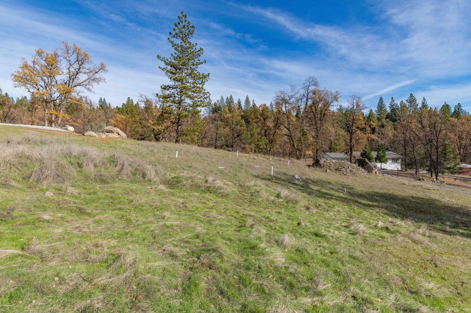 Forrest Oak Road, Pioneer, California image 17