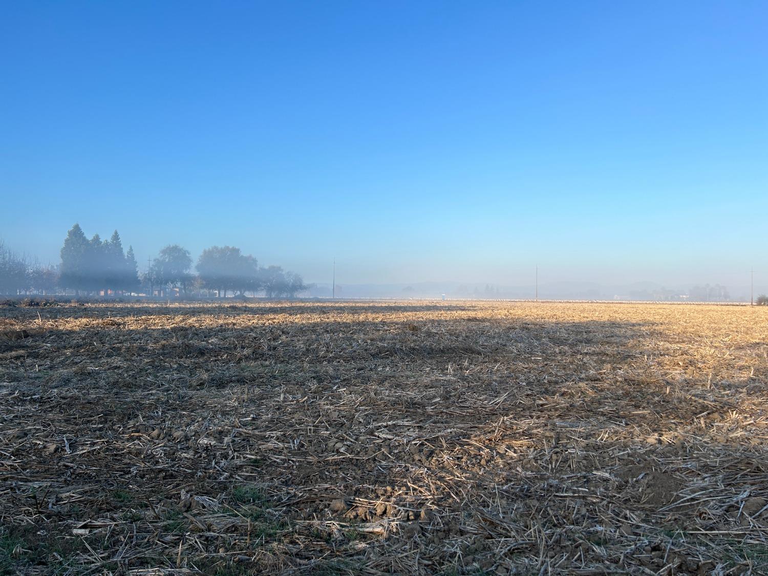 Neva Avenue, Colusa, California image 3