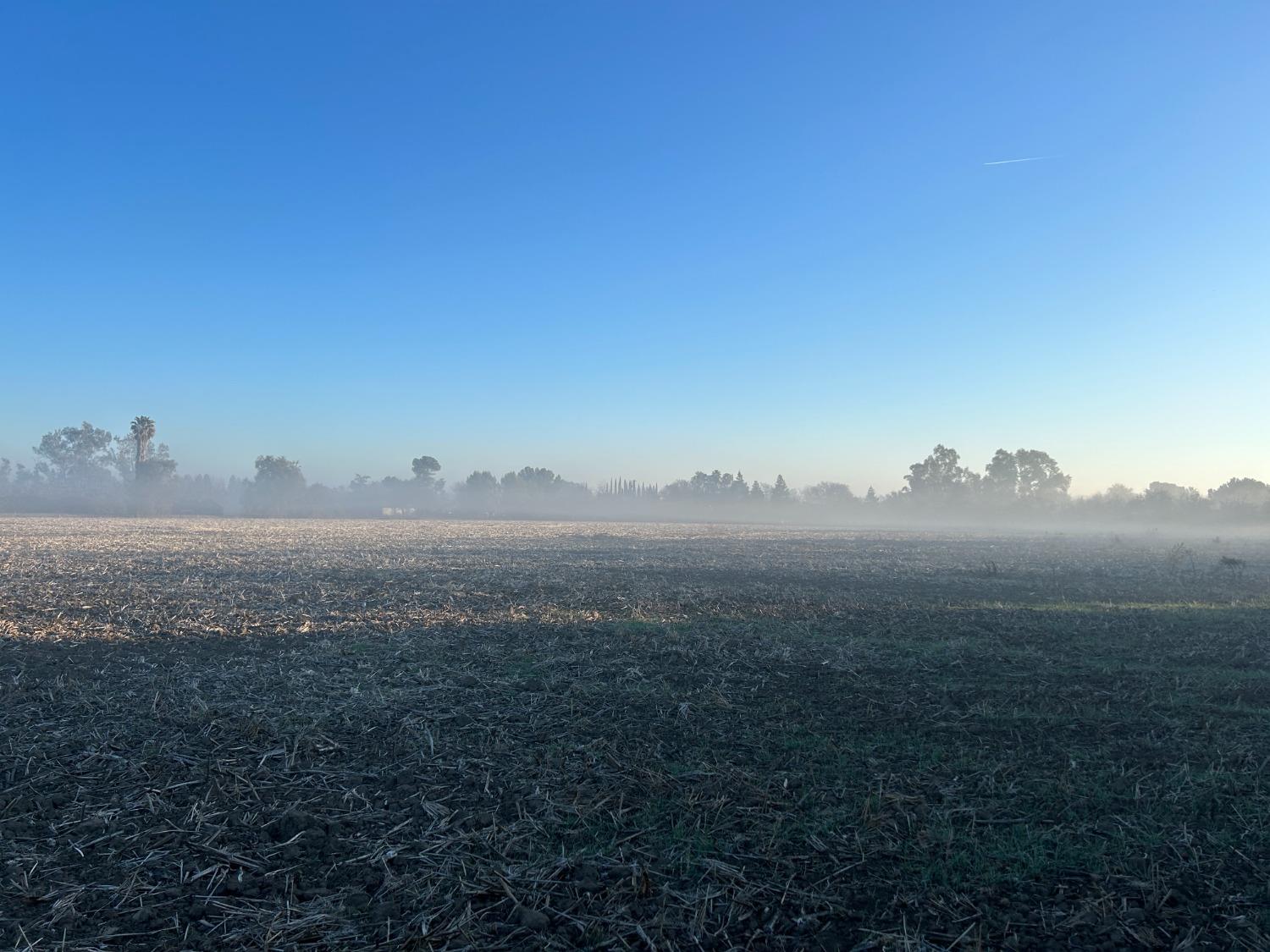 Neva Avenue, Colusa, California image 2