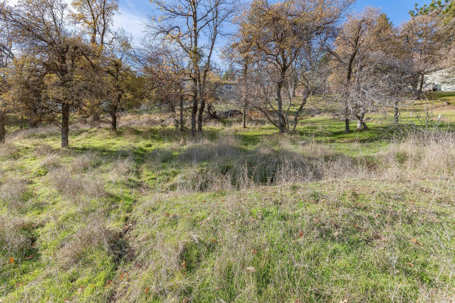 Forrest Oak Road, Pioneer, California image 18