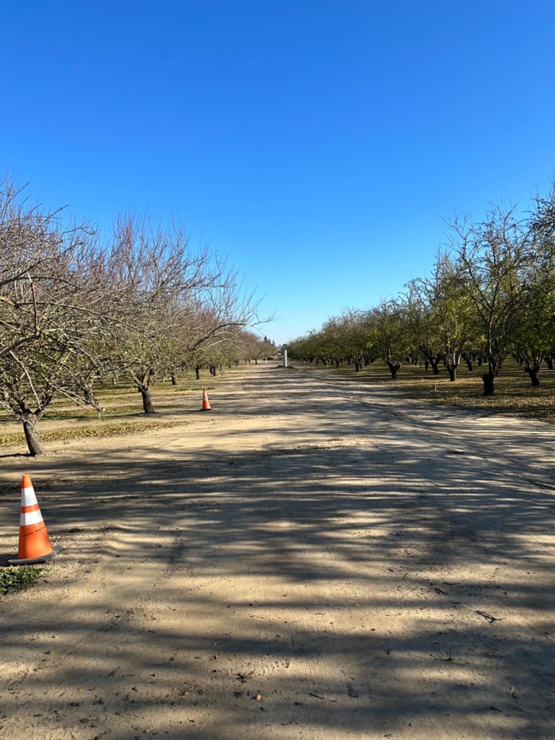 S Carrolton Rd, Ripon, California image 9