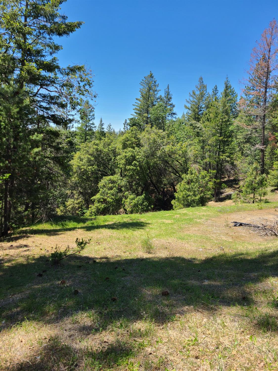 Photo of 6214 Green Ridge Dr in Foresthill, CA