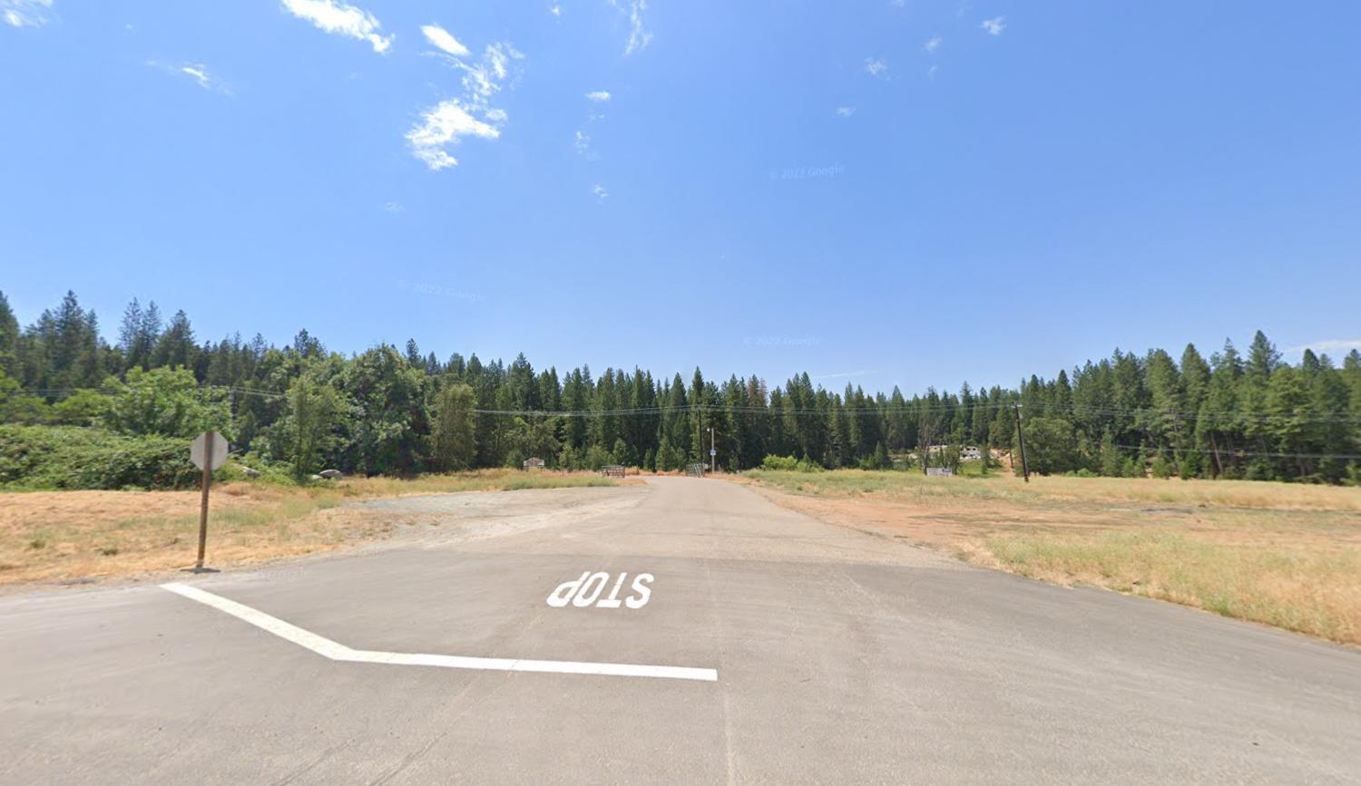 High Way 88, Pioneer, California image 2