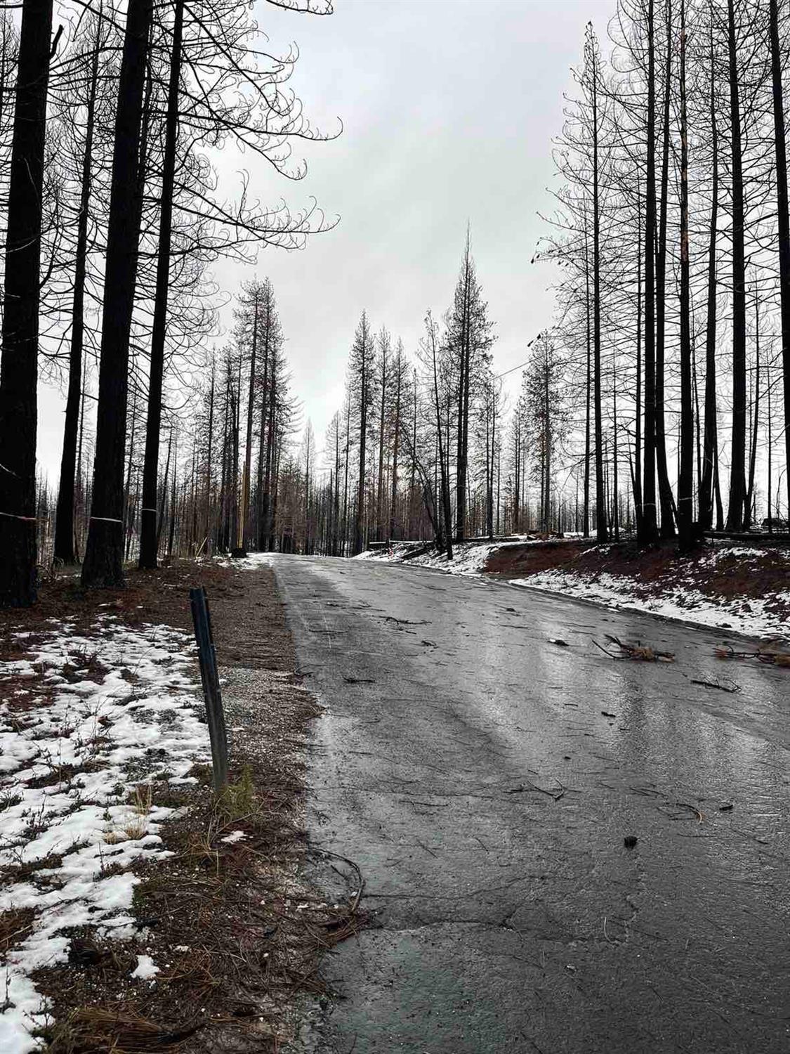 Coralaine Drive, Grizzly Flats, California image 8