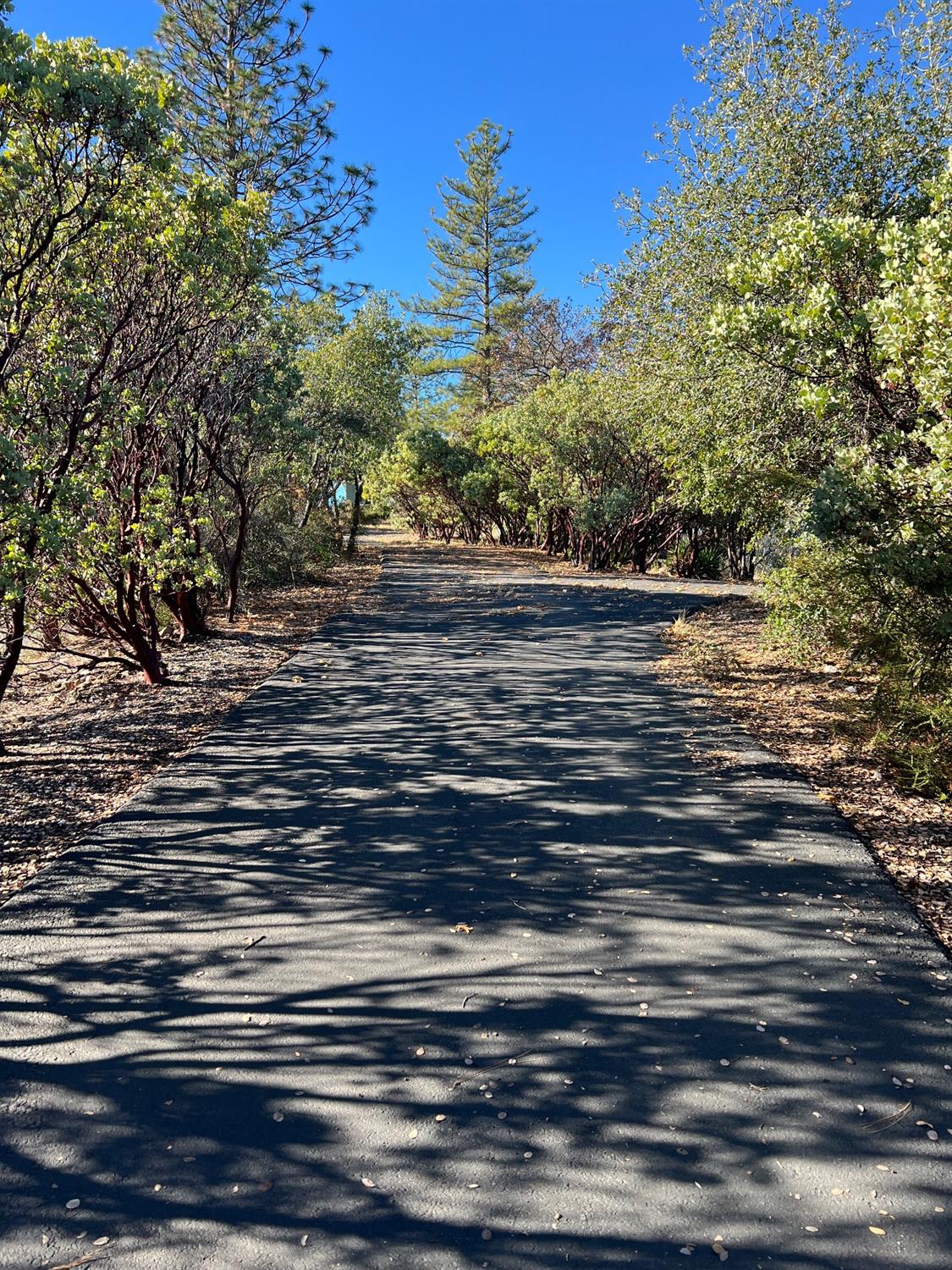 Mountain Vista Drive, Mountain Ranch, California image 4