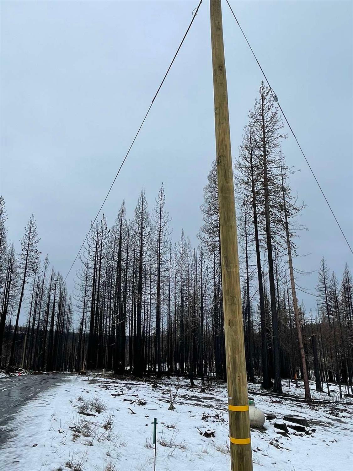 Coralaine Drive, Grizzly Flats, California image 4