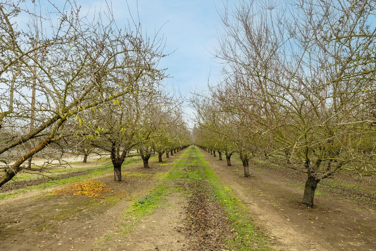 S Carrolton Rd, Ripon, California image 11