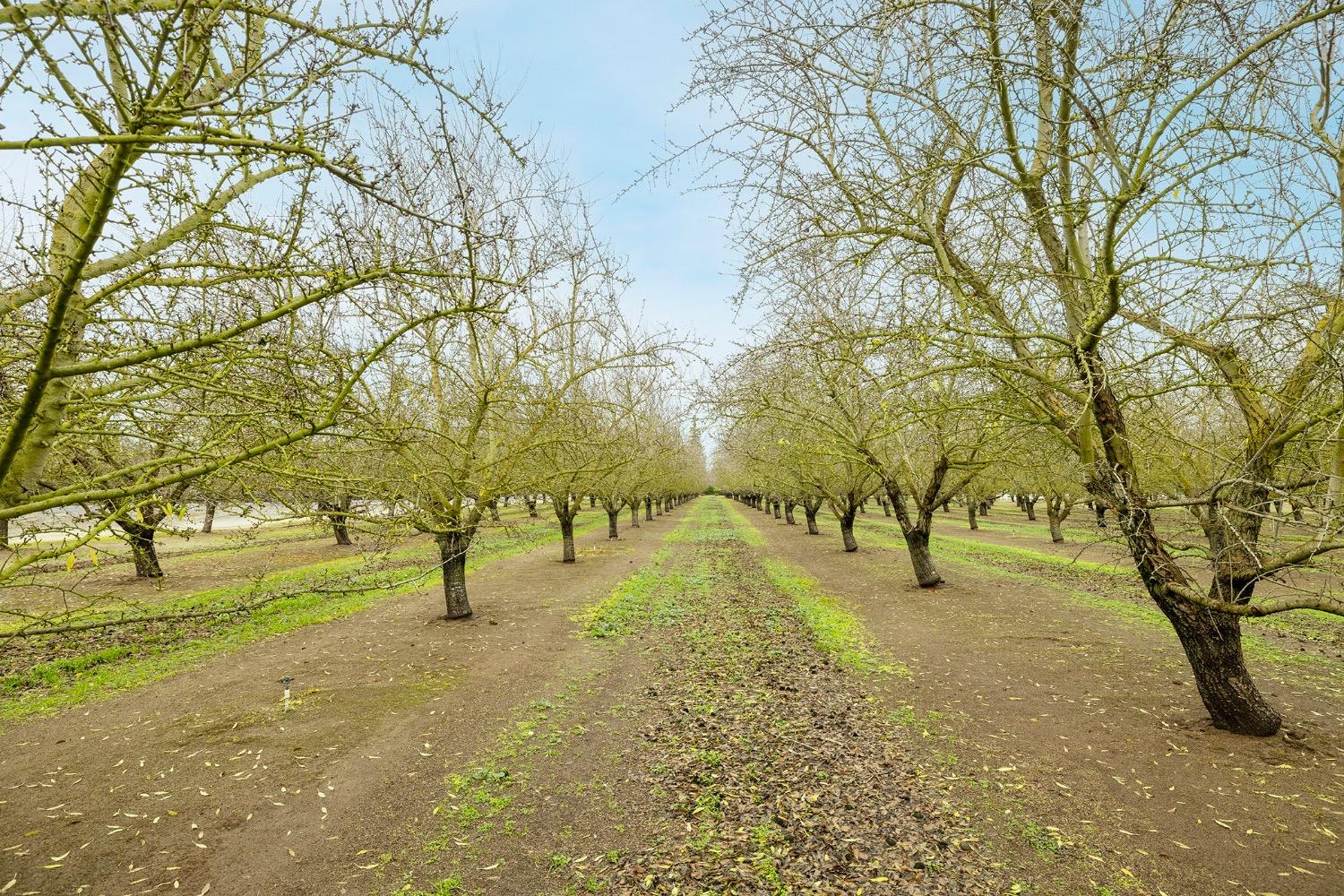 S Carrolton Rd, Ripon, California image 2