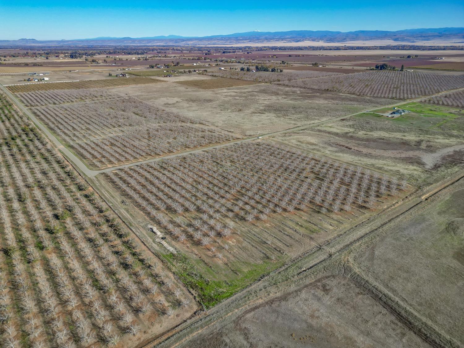 Hill Road, Corning, California image 5