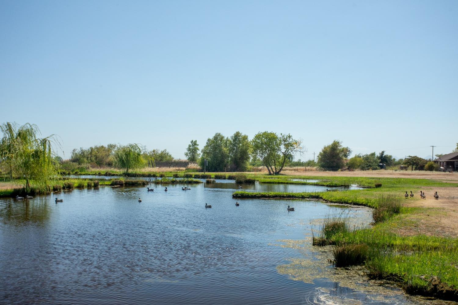 Loma Rica Road, Marysville, California image 38