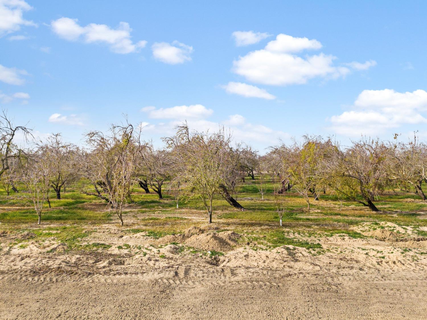 Washington Boulevard, Livingston, California image 21