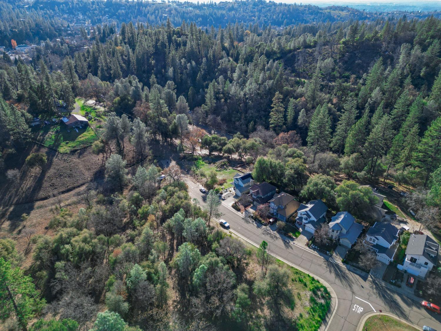 Golden Eagle Dr, Placerville, California image 14