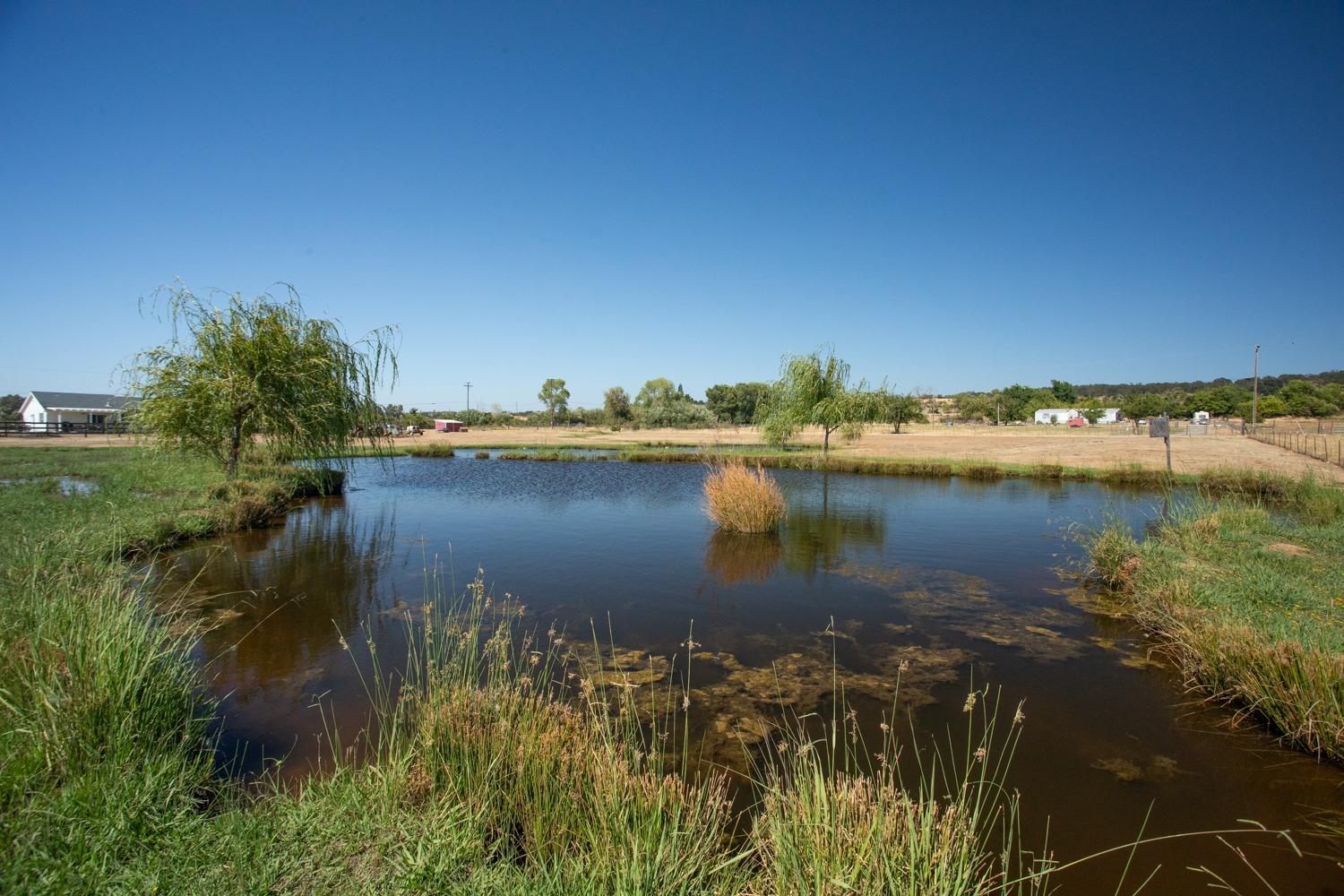 Loma Rica Road, Marysville, California image 36