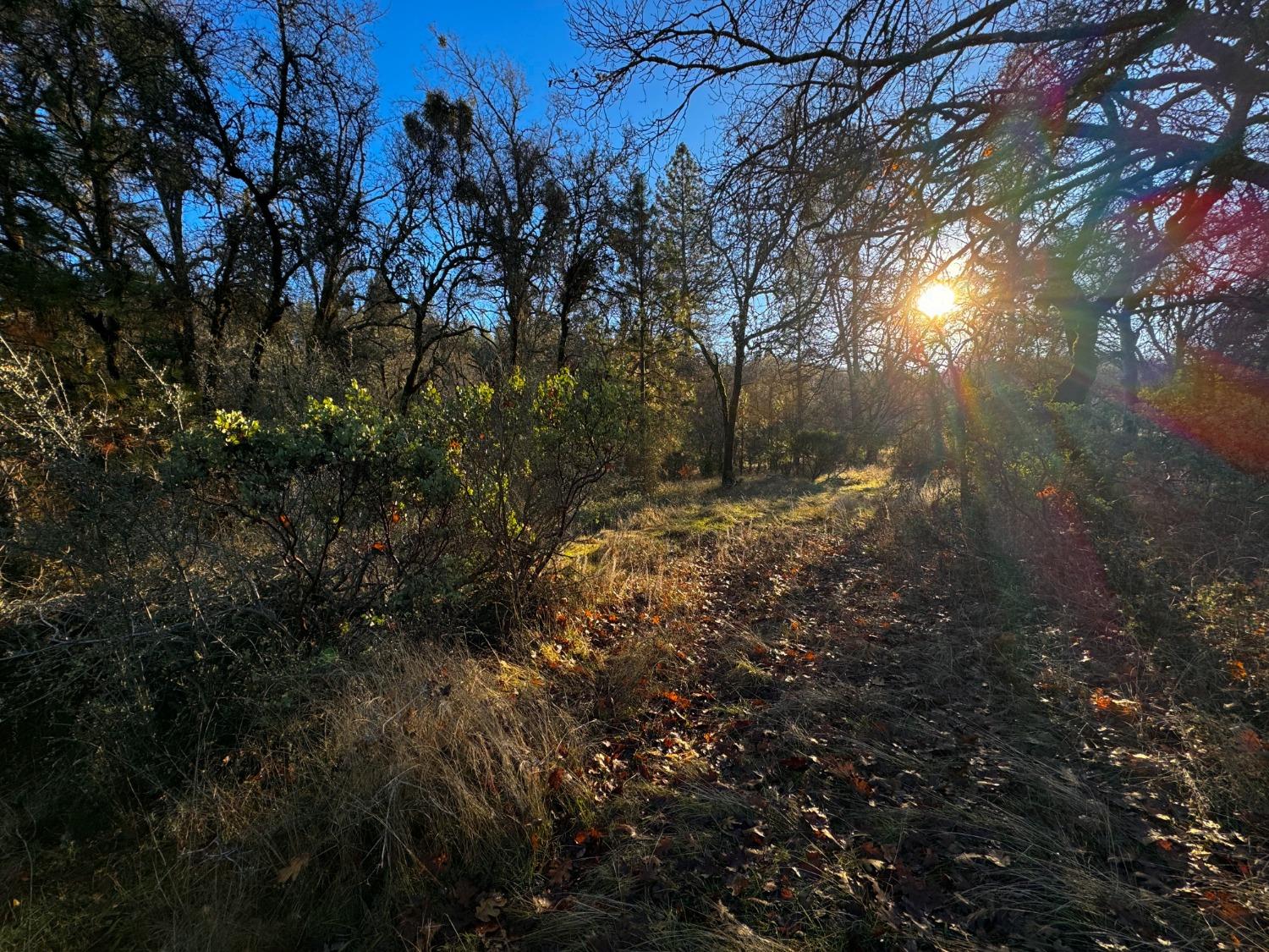 Yuba-nevada Road, Dobbins, California image 34