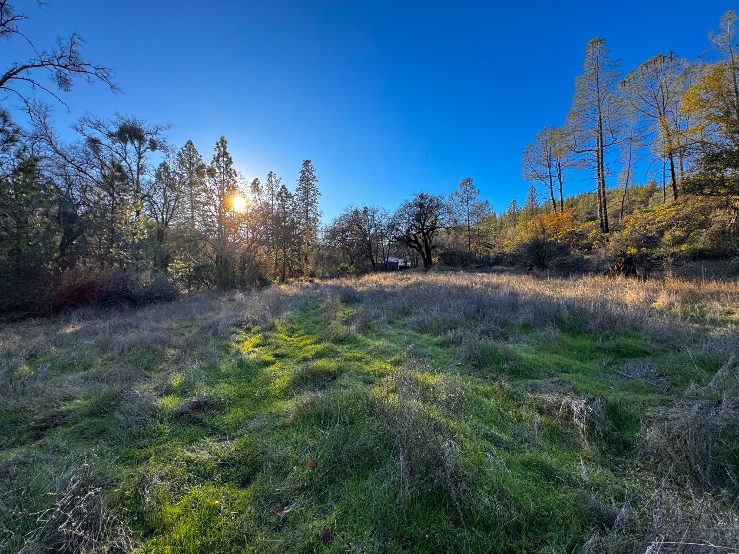 Yuba-nevada Road, Dobbins, California image 33