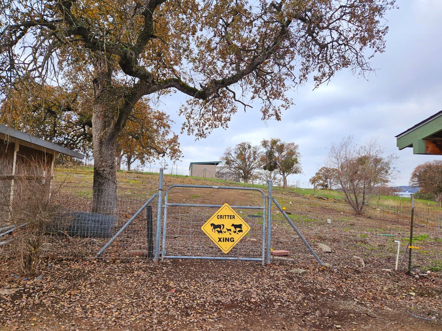 Quail Hill Road, Copperopolis, California image 6