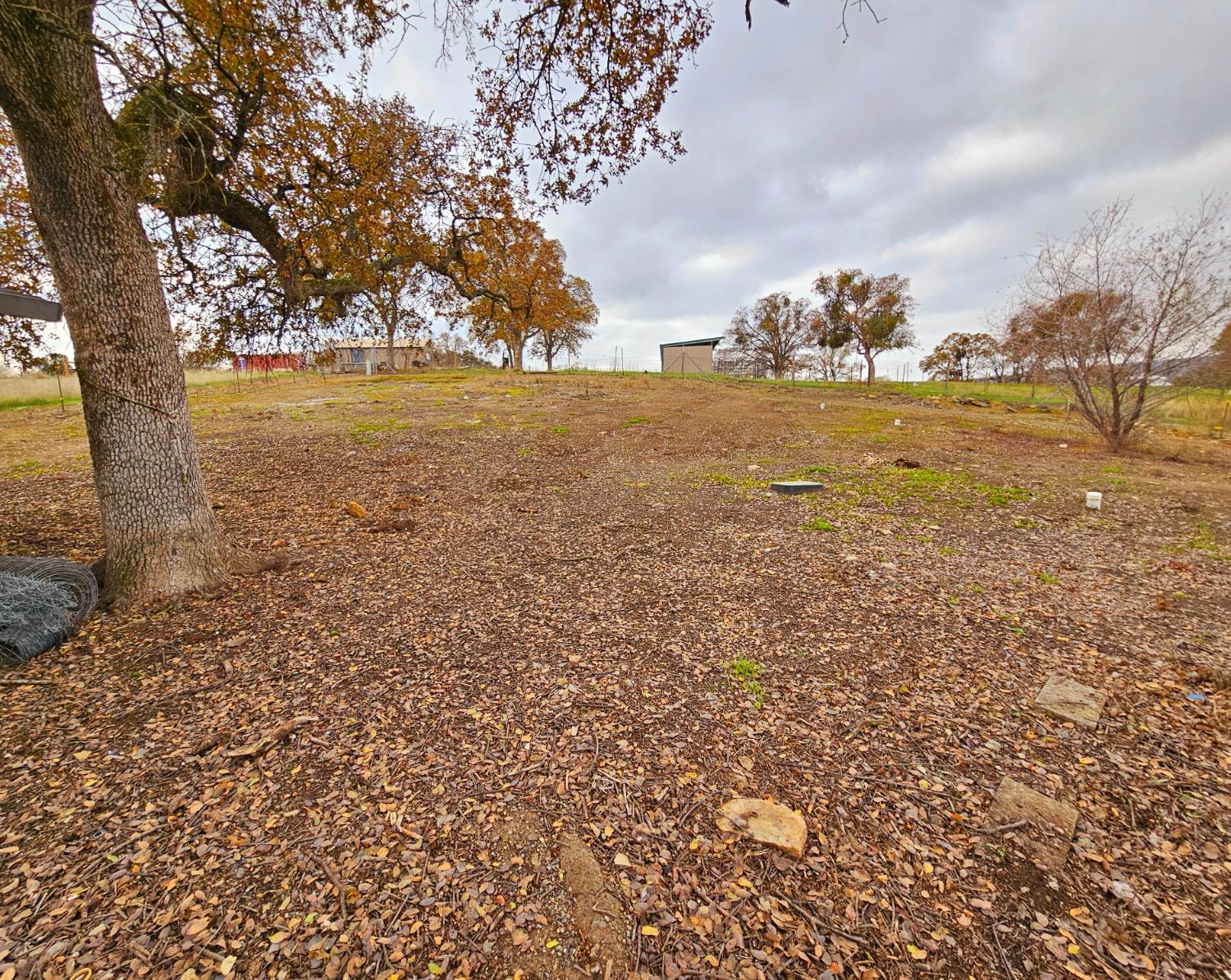 Quail Hill Road, Copperopolis, California image 7