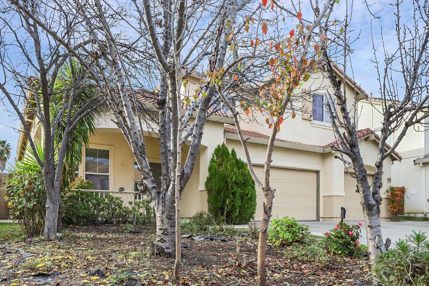 Steed Way, Antioch, California image 3