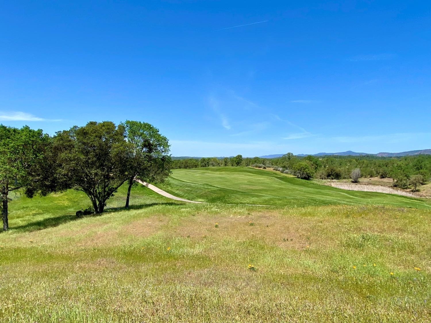 Detail Gallery Image 3 of 12 For 1746 Oak Creek Dr, Copperopolis,  CA 95228 - – Beds | – Baths