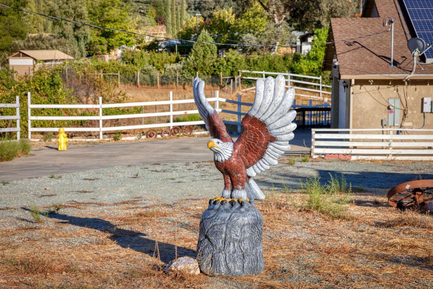 Gabor Street, Valley Springs, California image 11