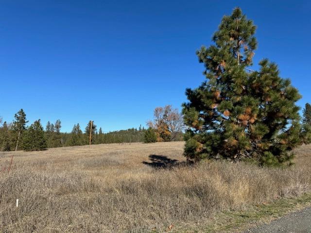 Holtzel Road, Coulterville, California image 3