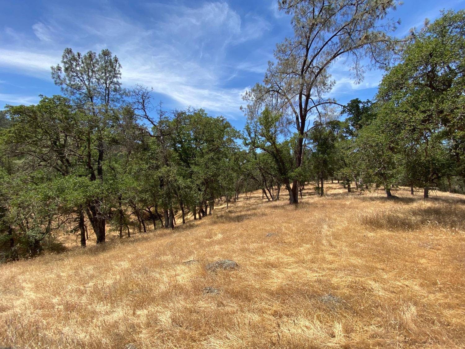 Scott Forbes Road, Browns Valley, California image 9