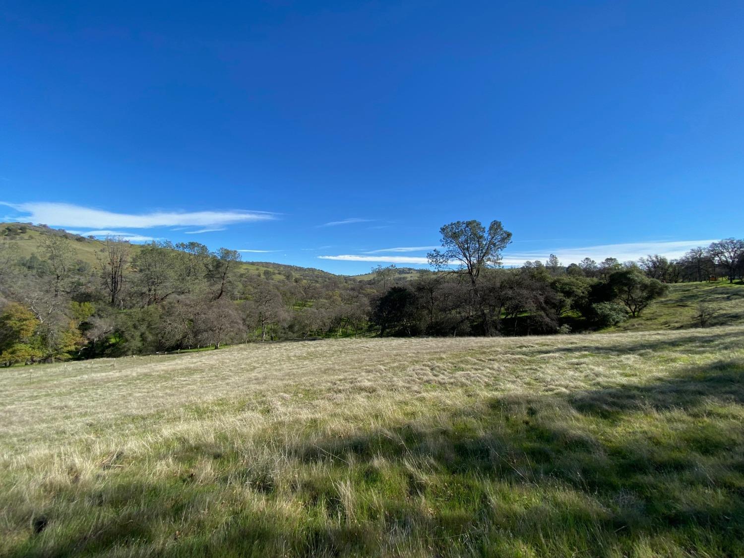 Scott Forbes Road, Browns Valley, California image 7