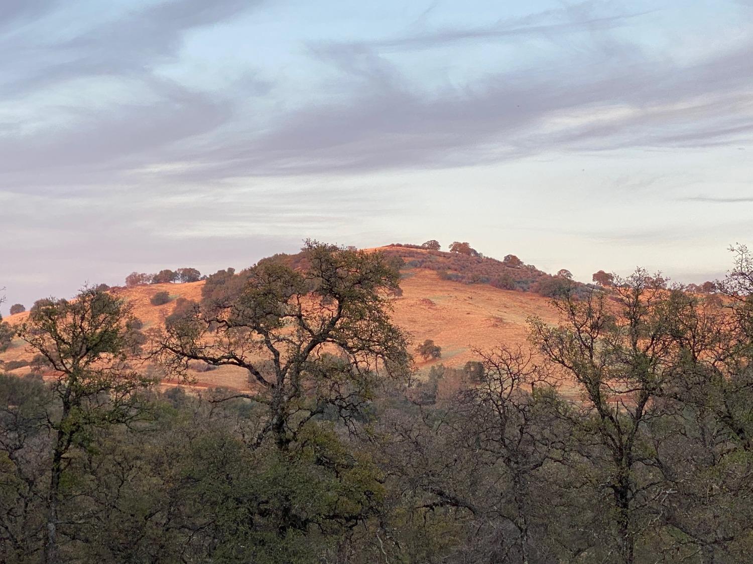 Scott Forbes Road, Browns Valley, California image 4