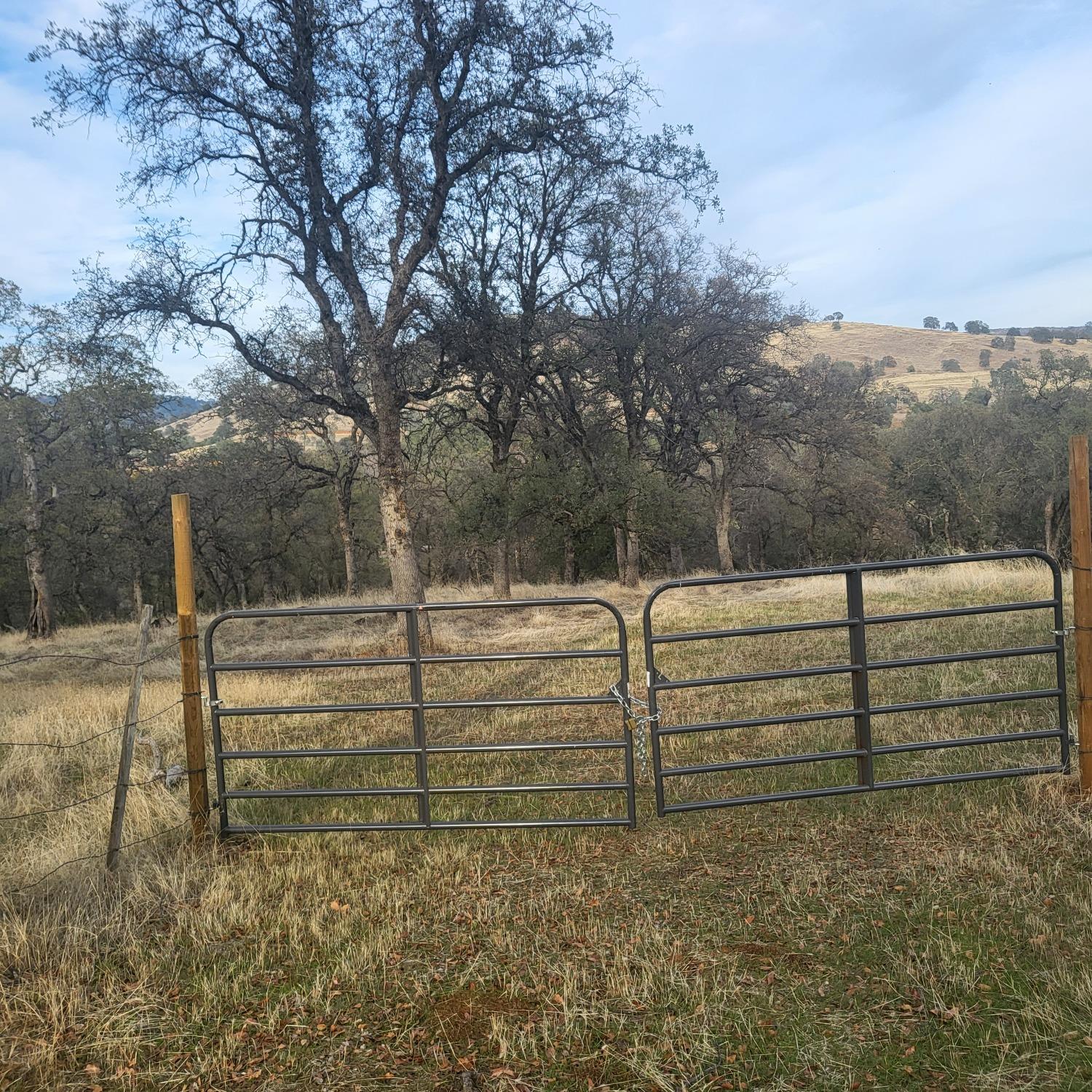 Scott Forbes Road, Browns Valley, California image 16